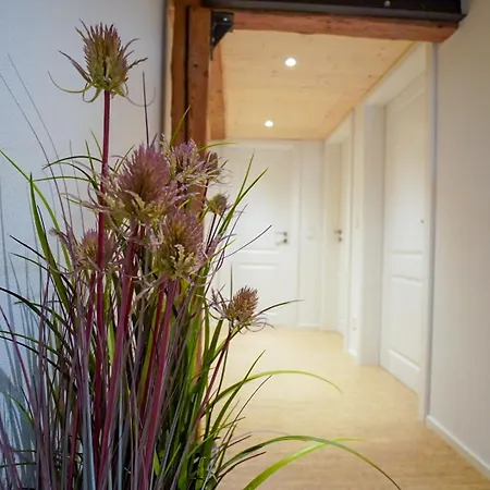 Cozer Living - Stilvolles Maisonette Apartment In Messstetten Exterior photo