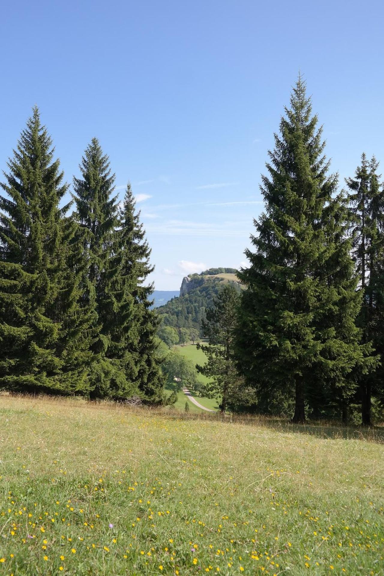 Apartment Cozer Living - Stilvolles Maisonette In Messstetten